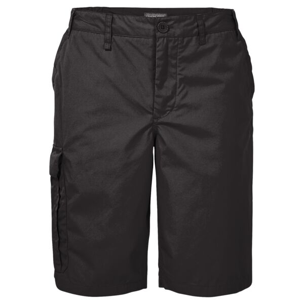 Expert Kiwi long short Vignette