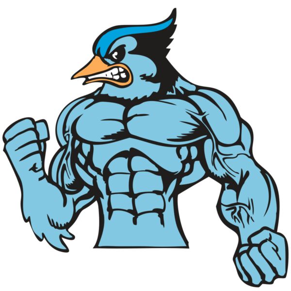 BAW BLUEJAY 16 RC Vignette