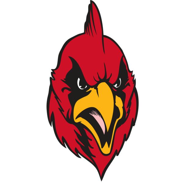 BAW CARDINAL 11 RC Vignette