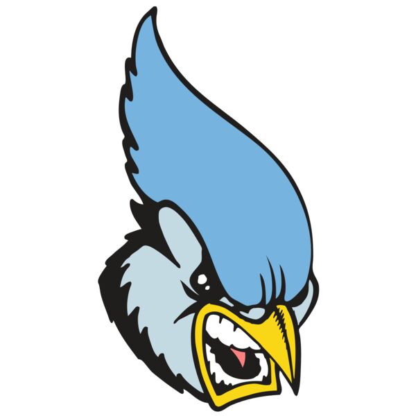 BAW BLUEJAY 05 RC Vignette