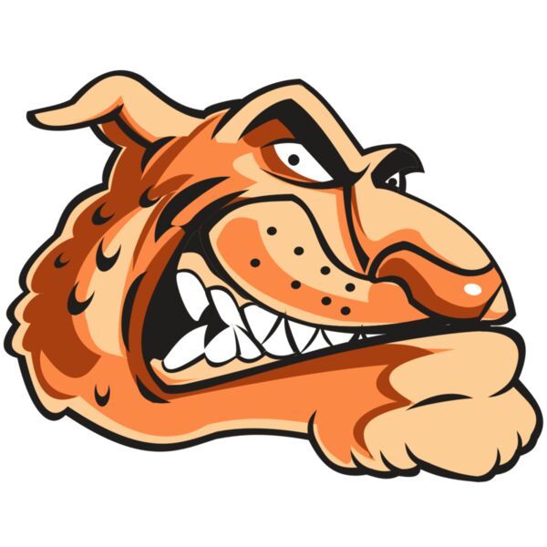 CHEETAH HD0503 RQC Vignette