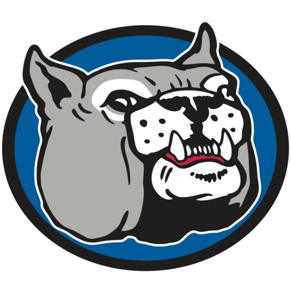 AR BDOG 51 RC Vignette