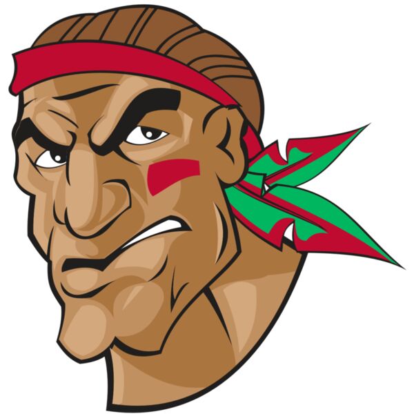 BRAVE HD0503 RQC Vignette