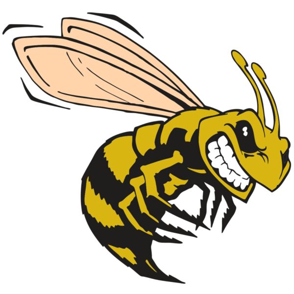 AR BEE 50 RC Vignette