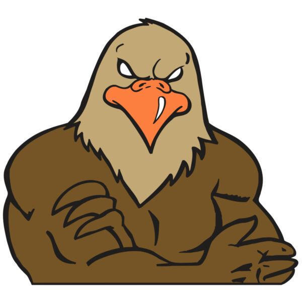 AR FALCON 26 RC Vignette