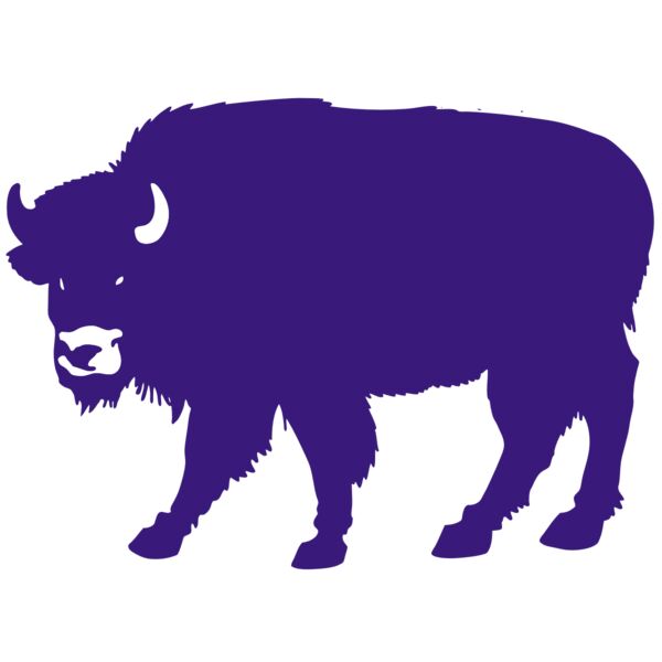 AR BUFF 23 RC Vignette