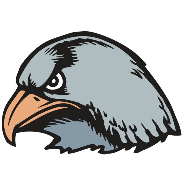 BAW HWK FLCN 03 RC Vignette