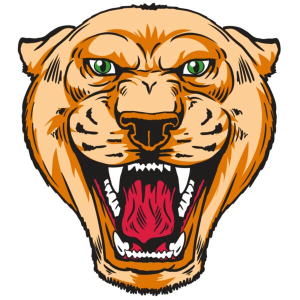 AR13 COUGAR 01 RQC Vignette