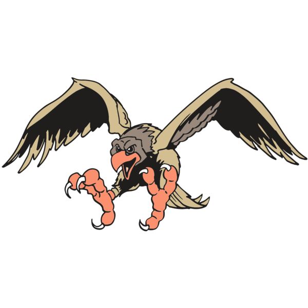 AR EAGLE 15 RC Vignette