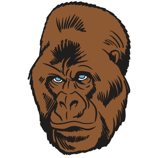 AR19 GORILLA 02 RQC Vignette