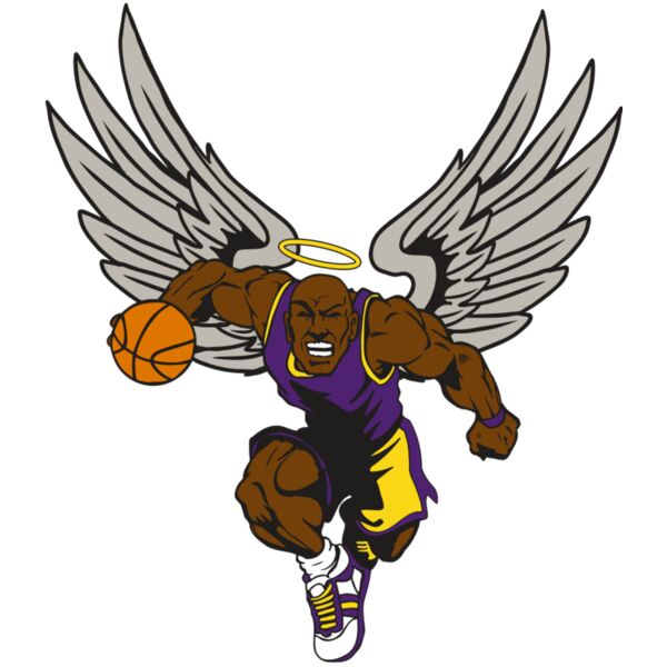 AR17 ANGEL BSKT 01 RQC Vignette