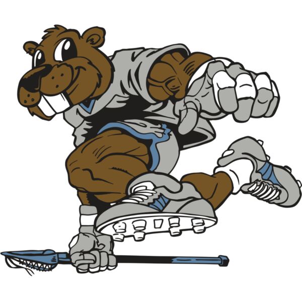 AR8 BEAVER 04 RQC Vignette