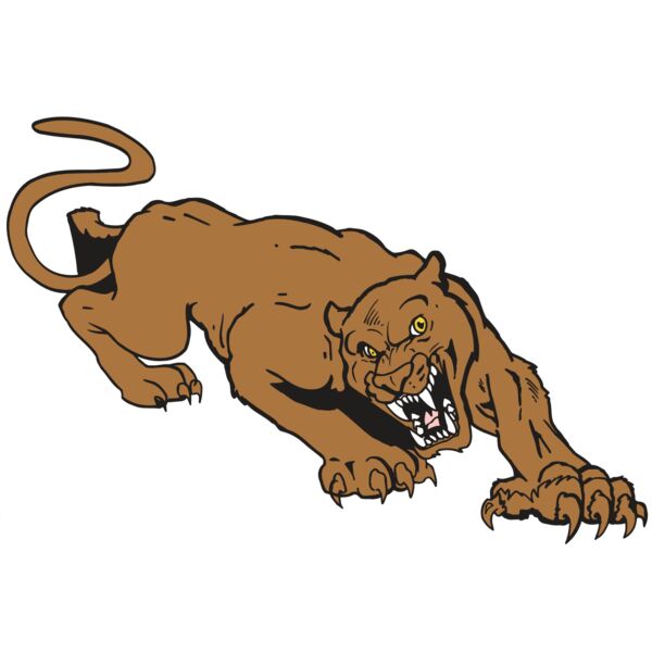 AR5 COUGAR 41 RQC Vignette