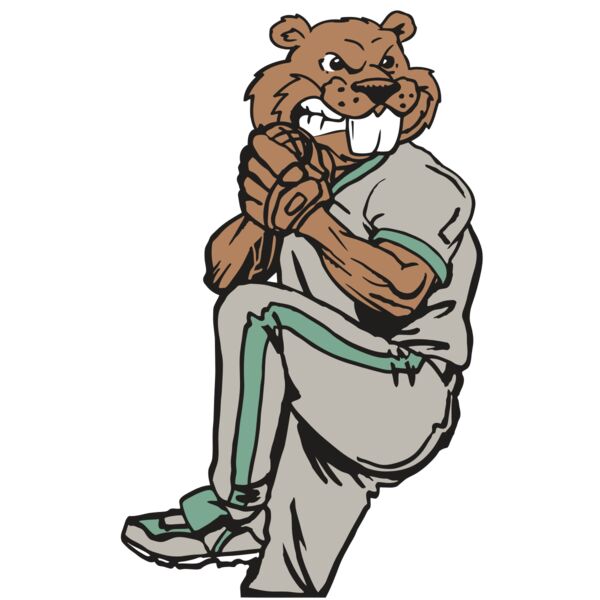 AR5 BASE BEAVER 01 RQC Vignette