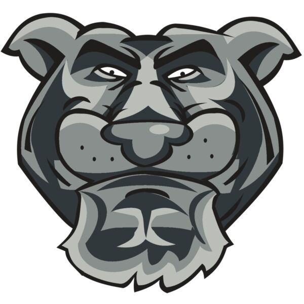 PANTHER HD0501 RQC Vignette