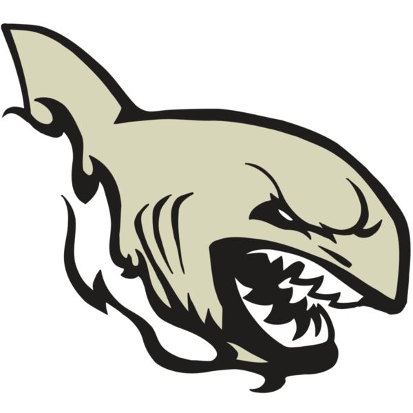 AR5 Shark 08 RQC Vignette