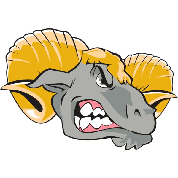 RAM HD0503 RQC Vignette