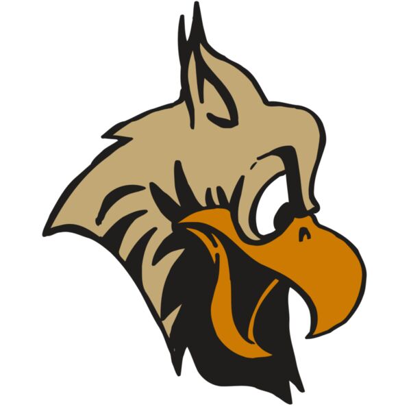 AR5 Owl 11 RQC Vignette