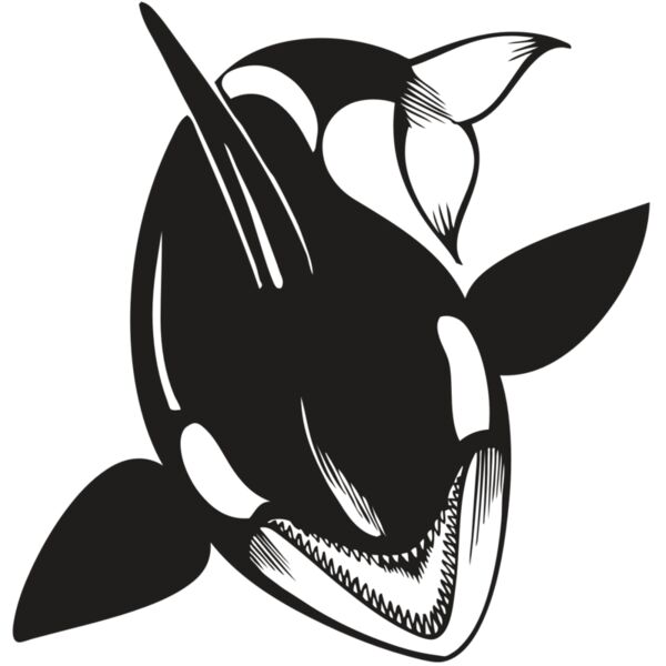 BAW KLRWHALE 01 RC Vignette