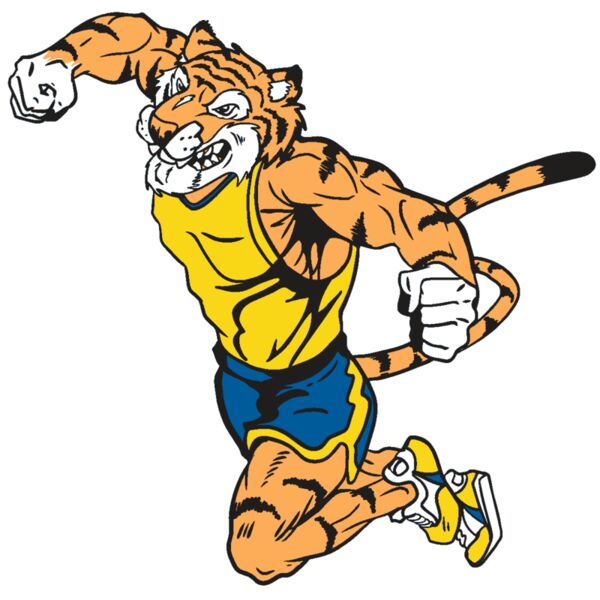 AR9 TIGER TRK RQC Vignette