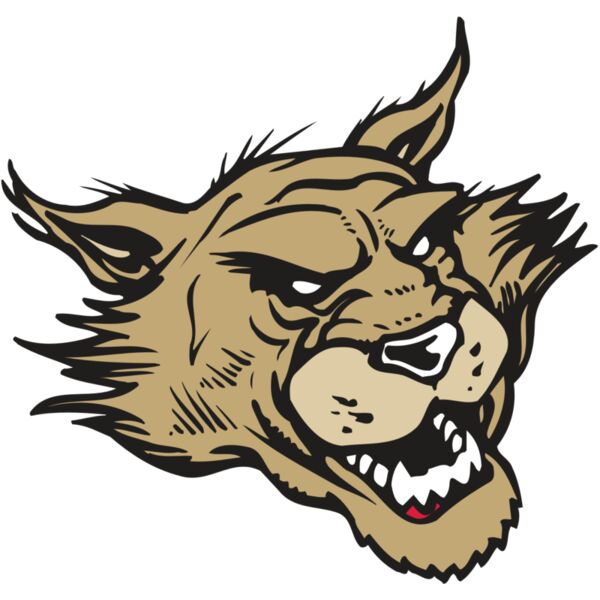 AR WILDCAT 39 RC Vignette