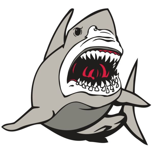 AR5 Shark 07 RQC Vignette