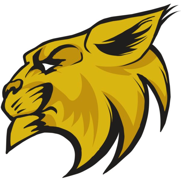 AR30 WILDCAT 02 RQC Vignette