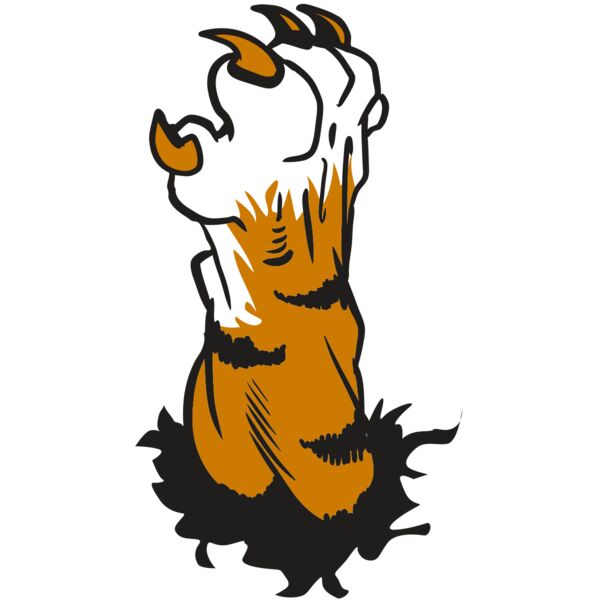 AR9 TIGER CLAW 01 RQC Vignette