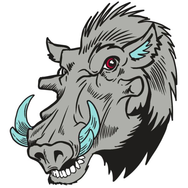 AR20 RAZORBACK 39 RQC Vignette