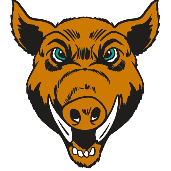 AR19 RAZOR 02 RQC Vignette