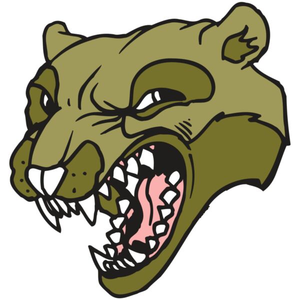 AR5 Wolverine 18 RQC Vignette