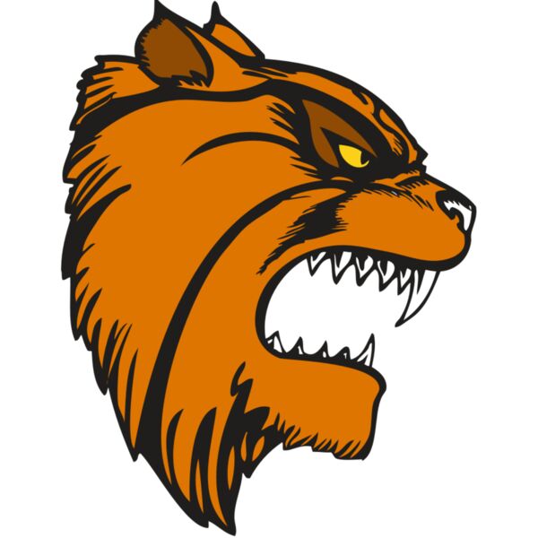 BAW WILDCAT 08 RC Vignette