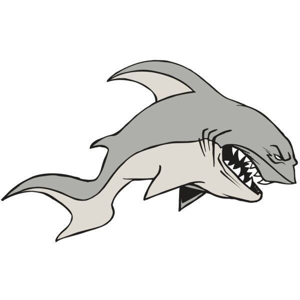 AR5 Shark 10 RQC Vignette