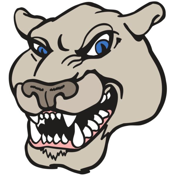 AR5 COUGAR 10 RQC Vignette