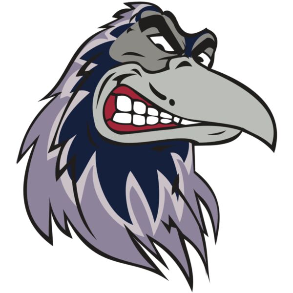 RAVEN HD0504 RQC Vignette