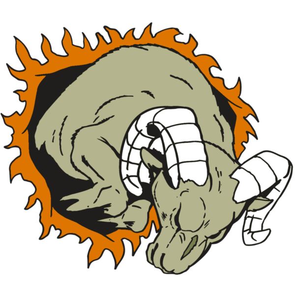 AR5 Ram 14 RQC Vignette