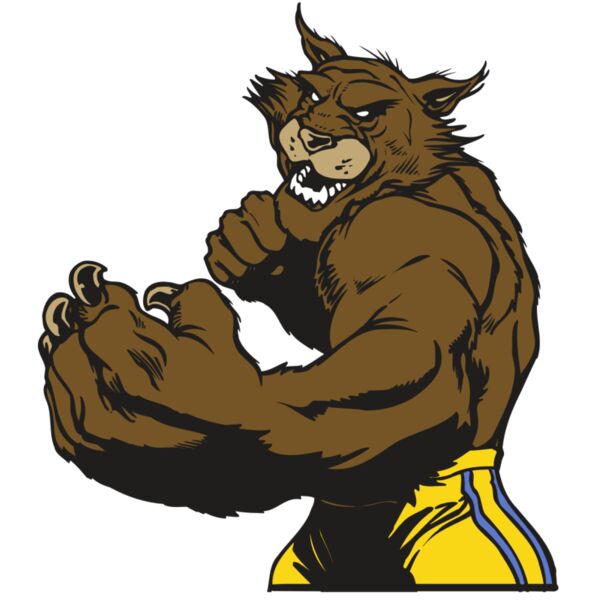 AR WILDCAT 48 RC Vignette