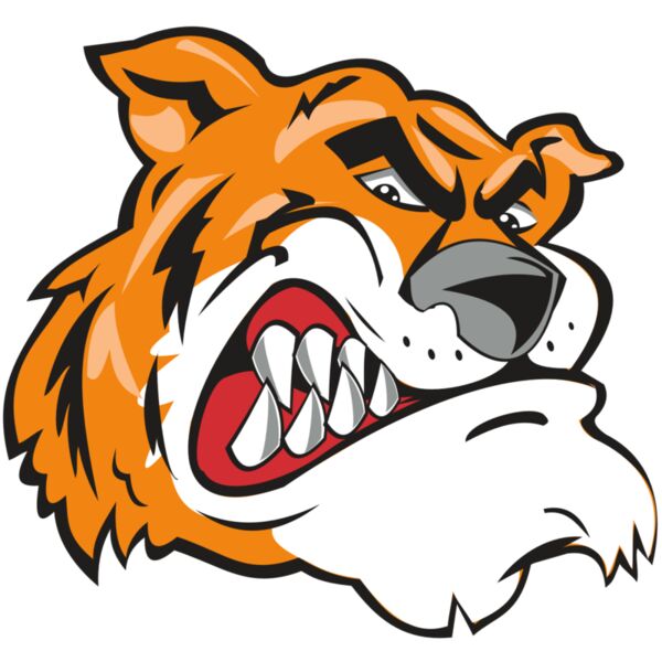 TIGER HD0503 RQC Vignette