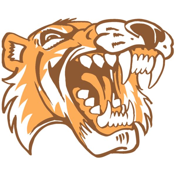 AR3 TIGER 01 RQC Vignette