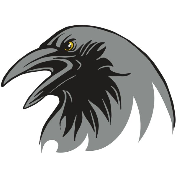 AR31 RAVEN 02 RQC Vignette