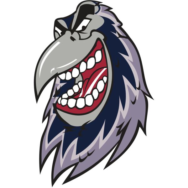 RAVEN HD0503 RQC Vignette