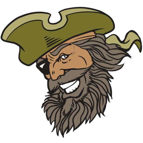 AR19 PIRATE 01 RQC Vignette