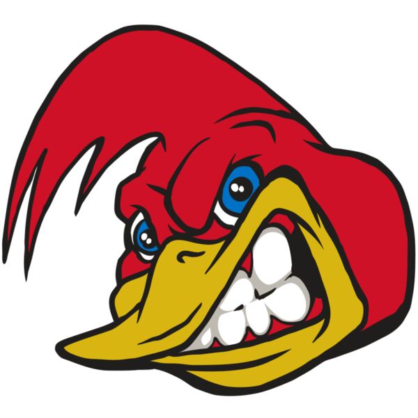 AR30 RRUNNER 03 RQC Vignette