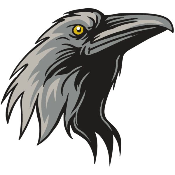 AR31 RAVEN 01 RQC Vignette