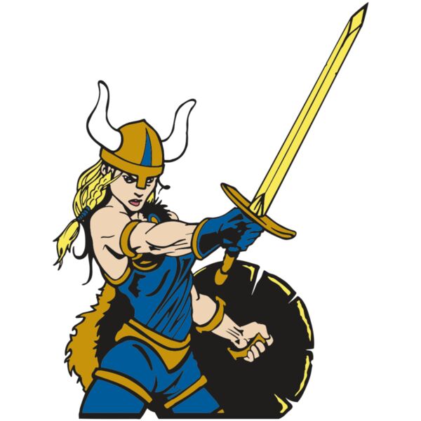 AR VIKING 50 RC Vignette