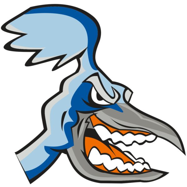 ROADRUNNER HD0504 RQC Vignette