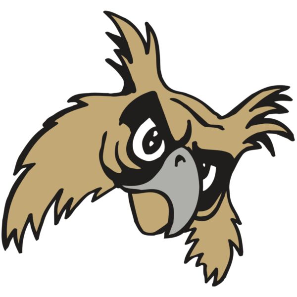 AR5 Owl 09 RQC Vignette