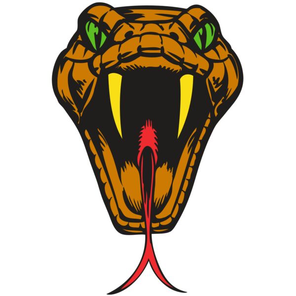 BAW SNAKE 05 RC Vignette