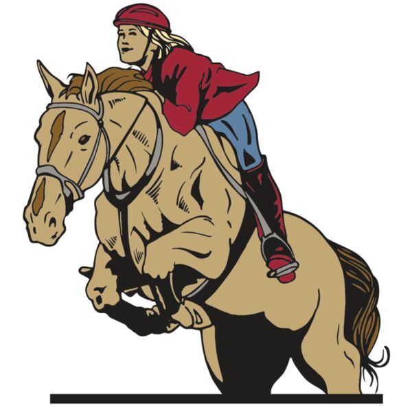 AR EQUEST 12 RC Vignette