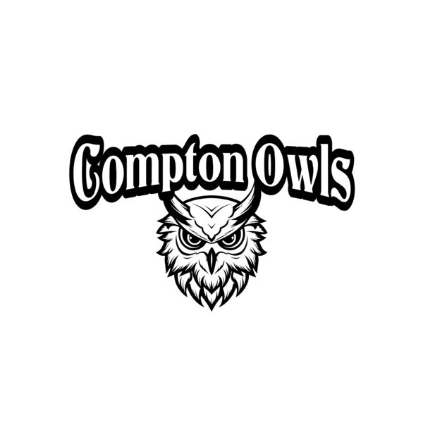 School Owls 02 Vignette